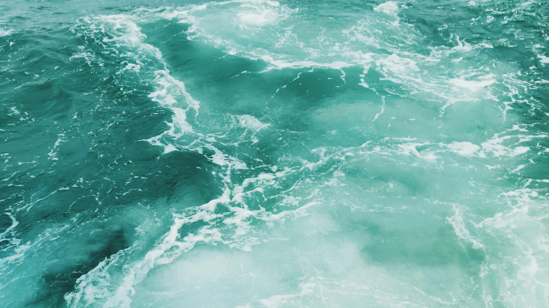 banner image