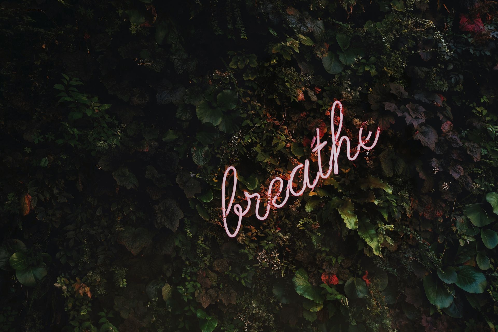 Photo illuminating the word "breathe." demonstrating relief from feeling stressed and overwhelmed after receiving anxiety treatment.