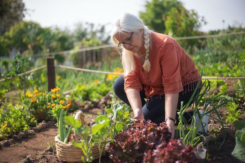 Health & Wellbeing Benefits of Home Gardening