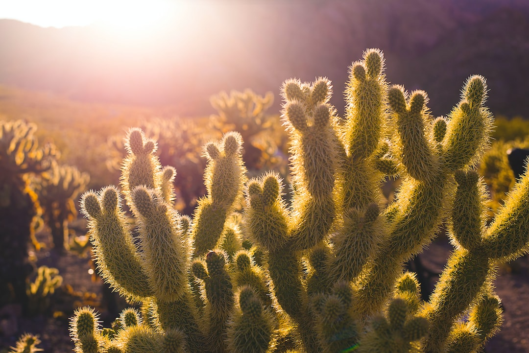 High Desert Psychiatry LLC Albuquerque, NM 87120