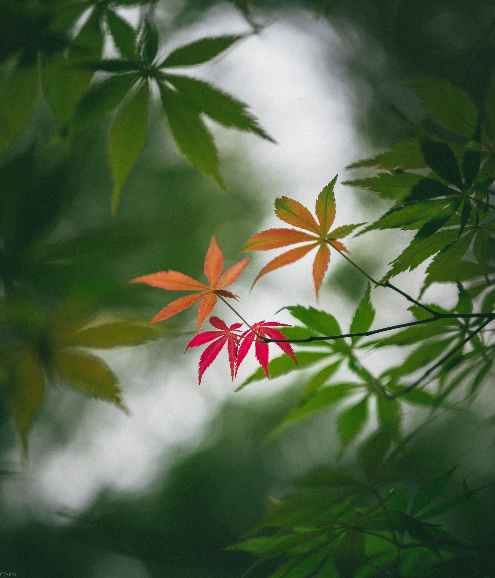 Giving Yourself Permission to Slow Down Through Seasons of Change
