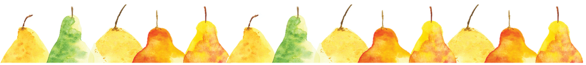 banner image