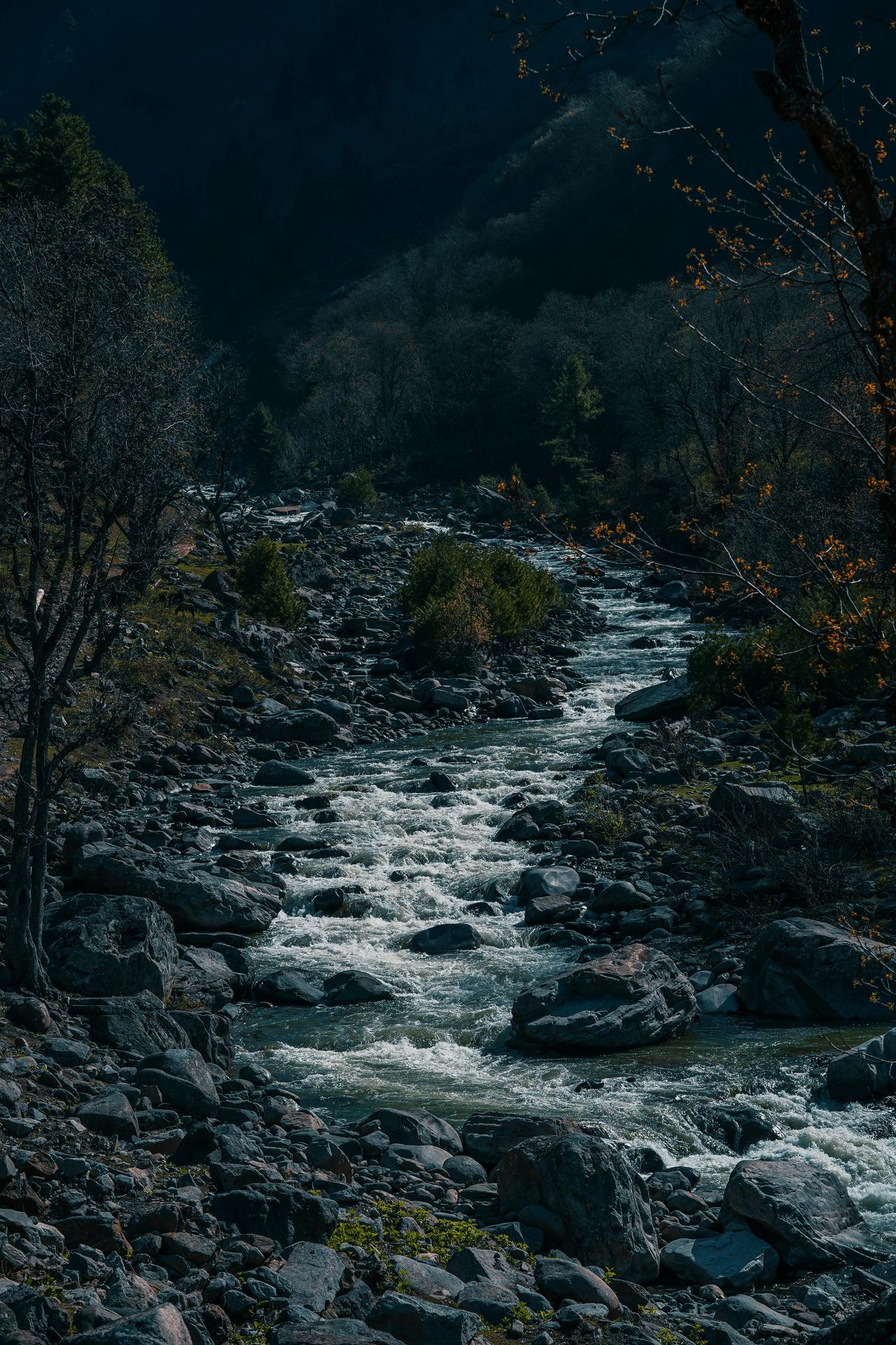 banner image