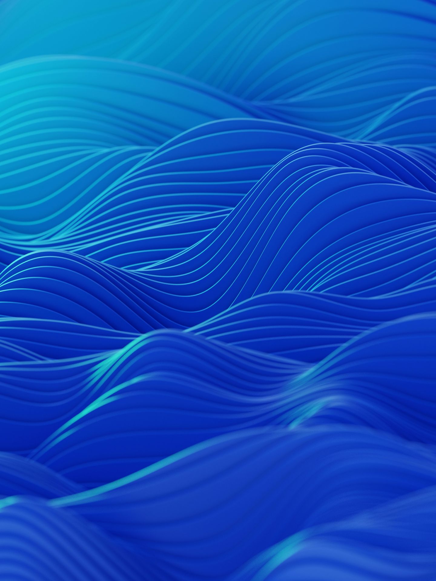 banner image