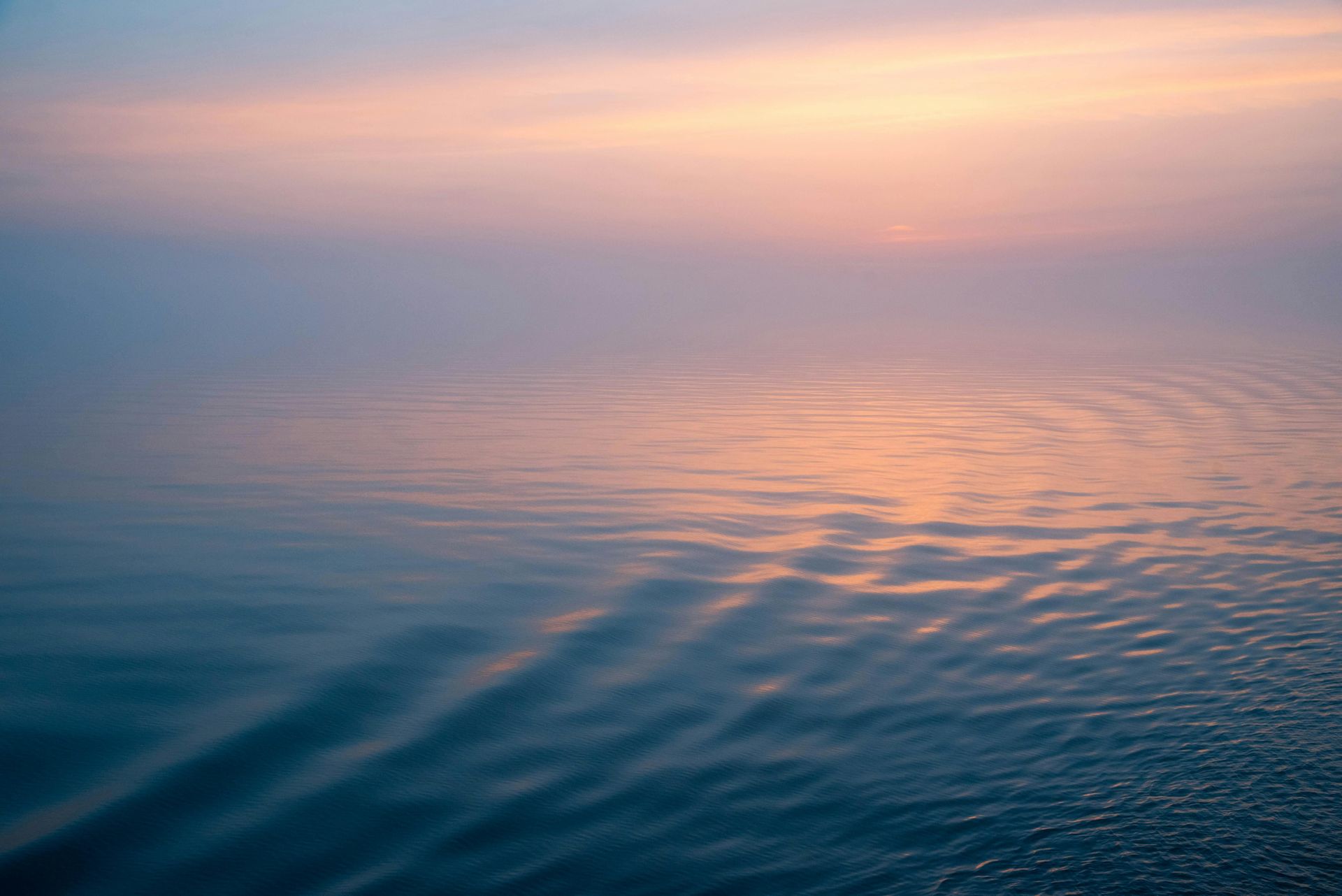 Why So Many Adults Feel Stuck in Survival Mode