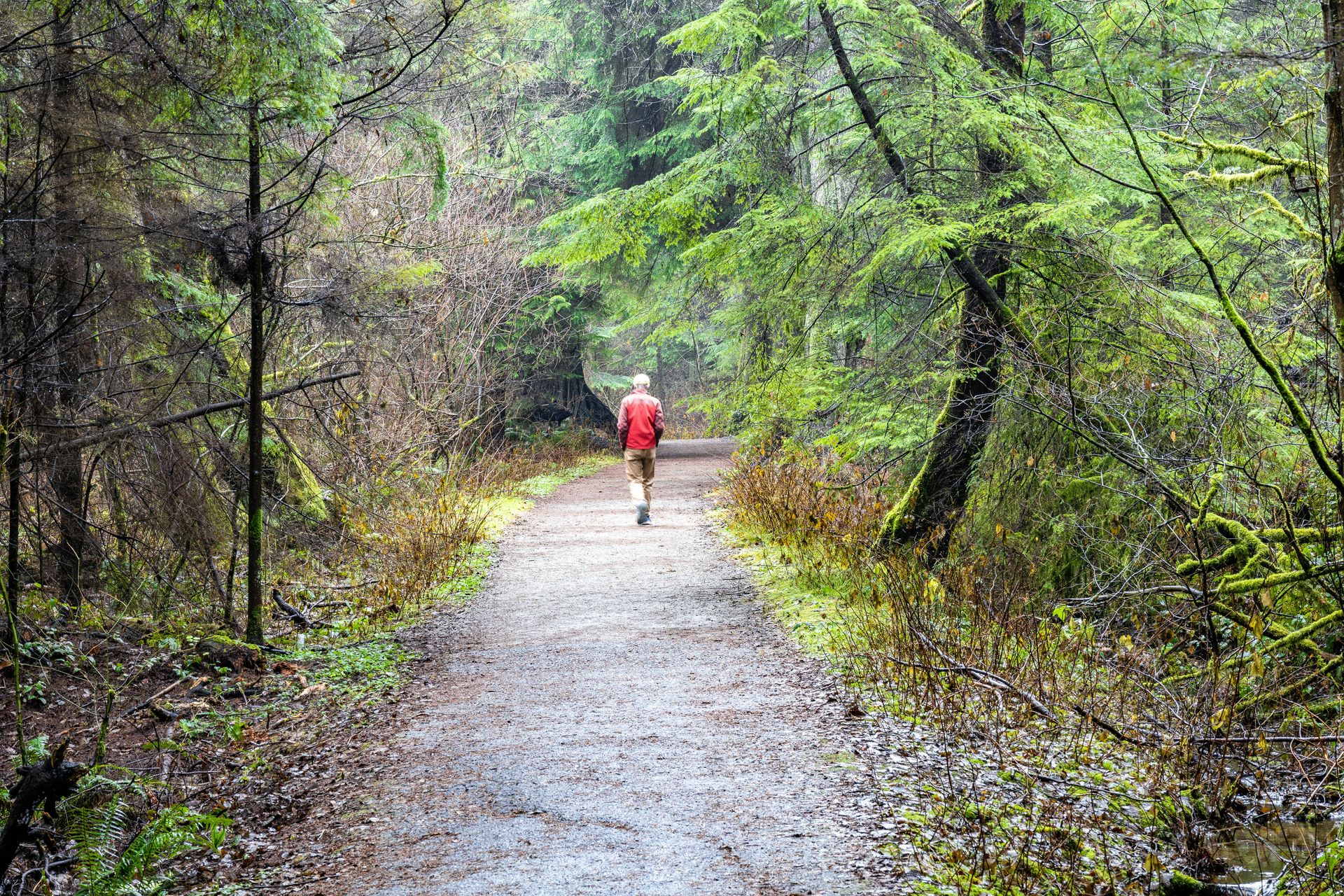 Grounding vs. Avoidance: How to Tell the Difference