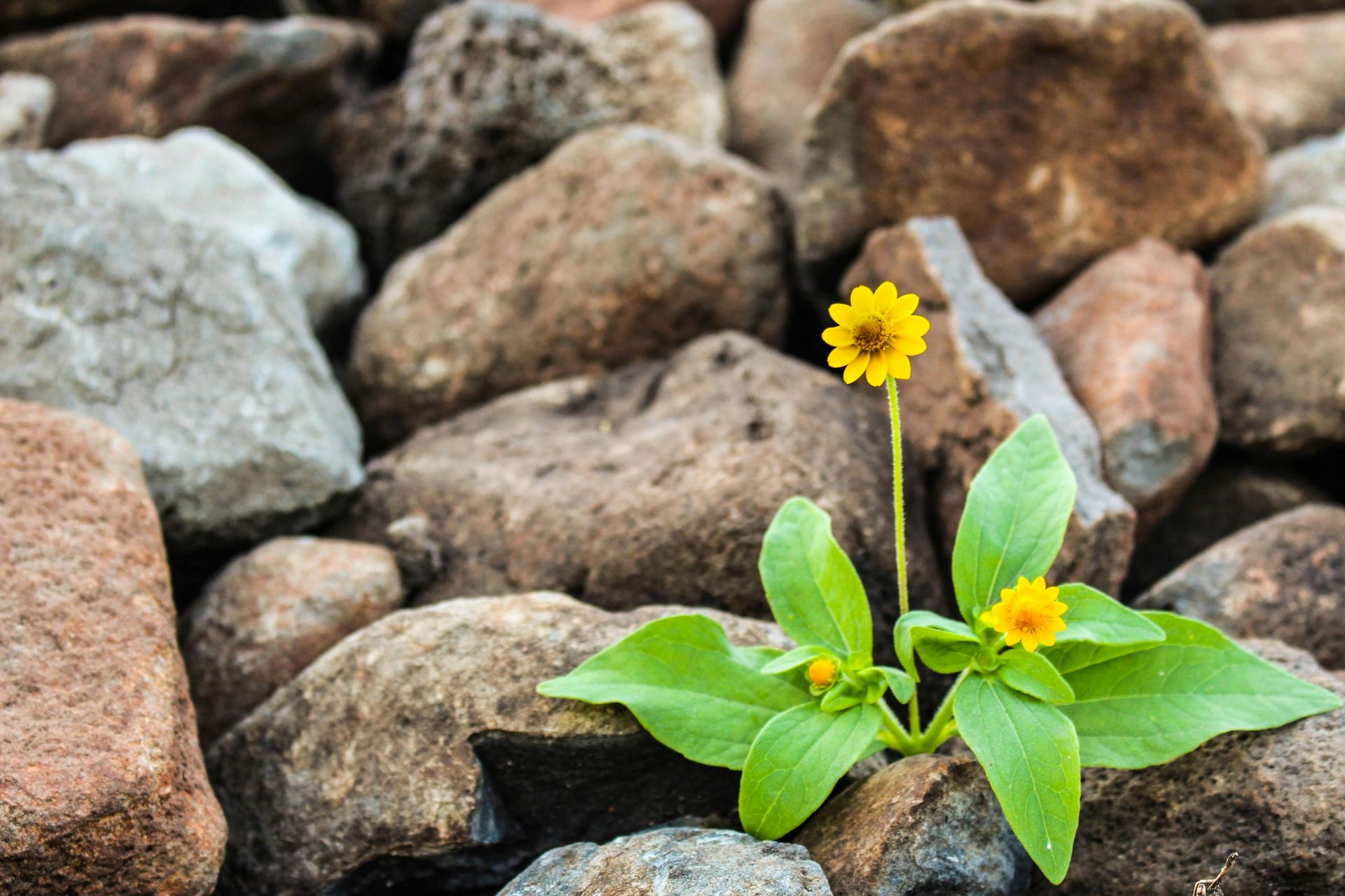 How to Increase Self-Worth in Addiction Recovery