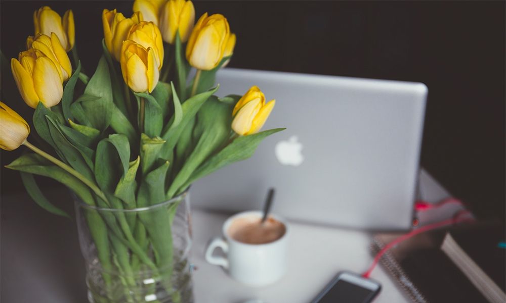 Workshops and Training