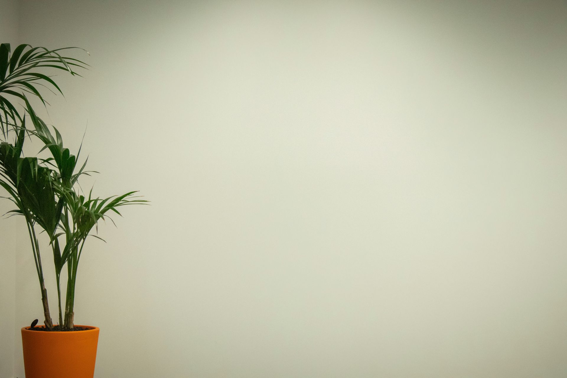 banner image