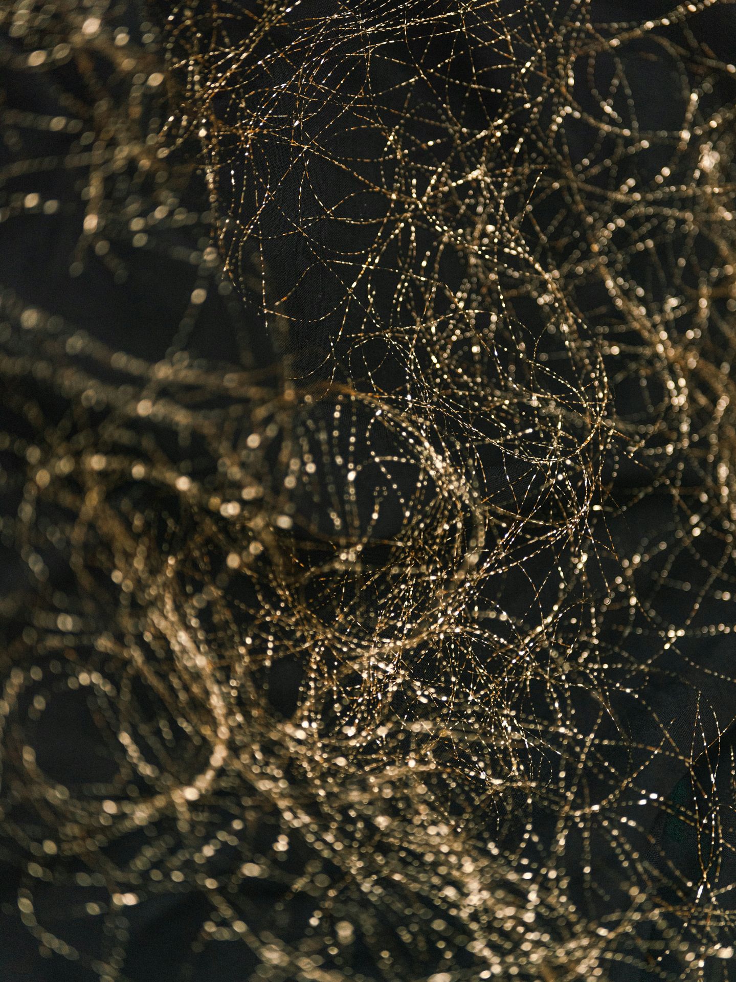 Why Your Nervous System Is Running Your Relationship (And How to Take Back Control)