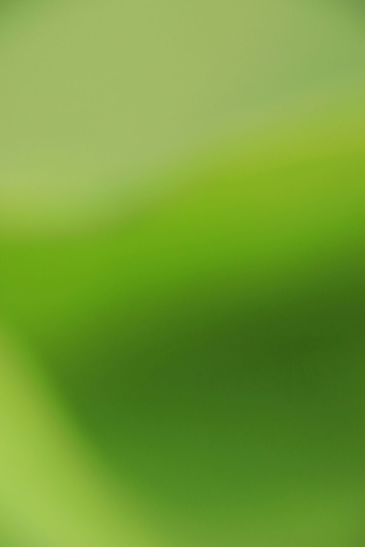banner image