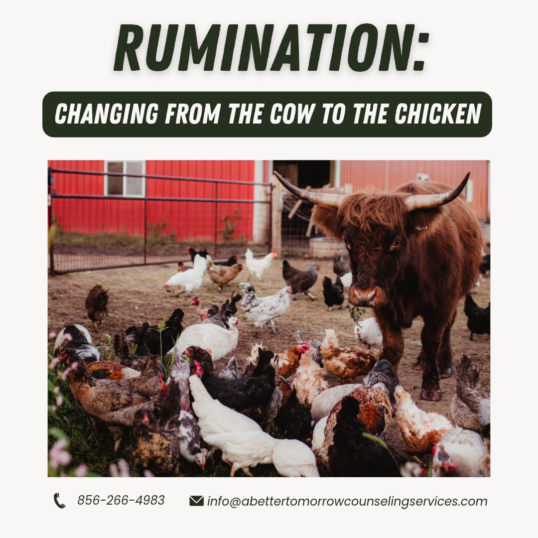 Rumination: Changing From the Cow to the Chicken