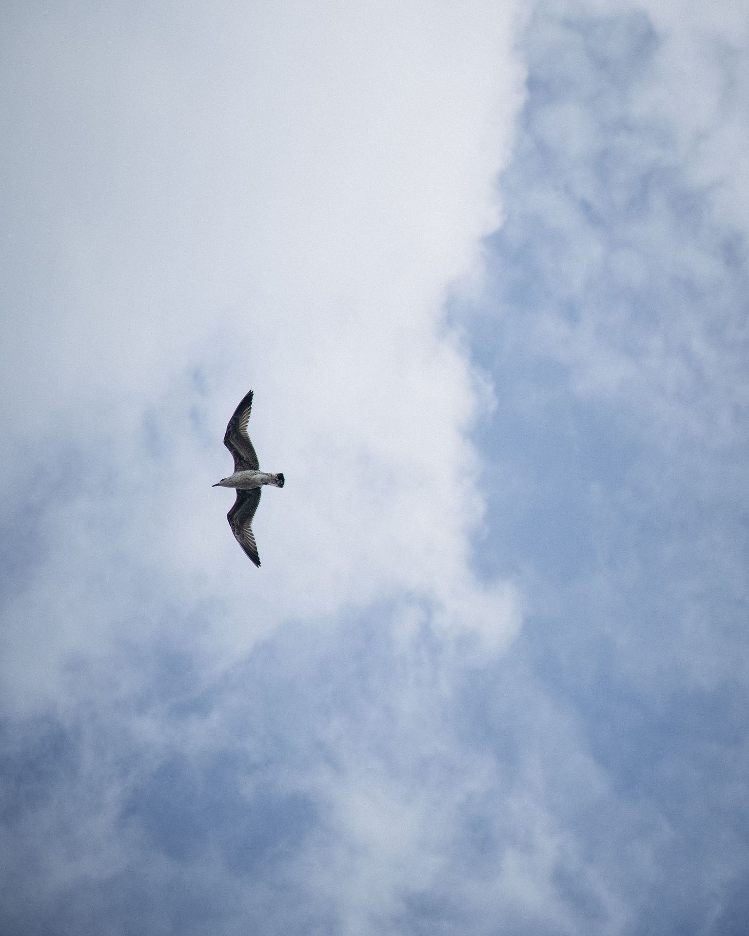 Giving yourself permission to be