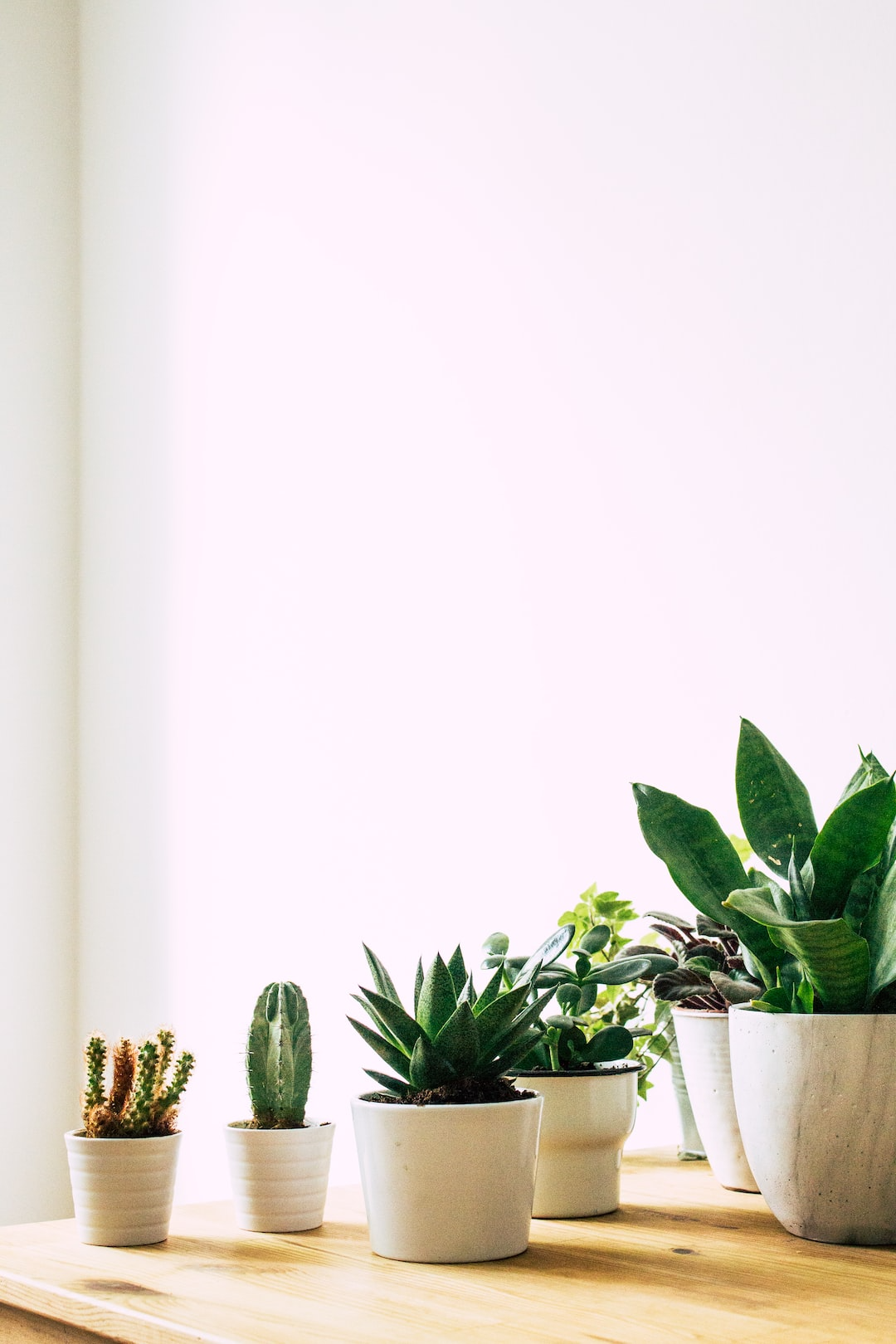 Frequently Asked Questions 