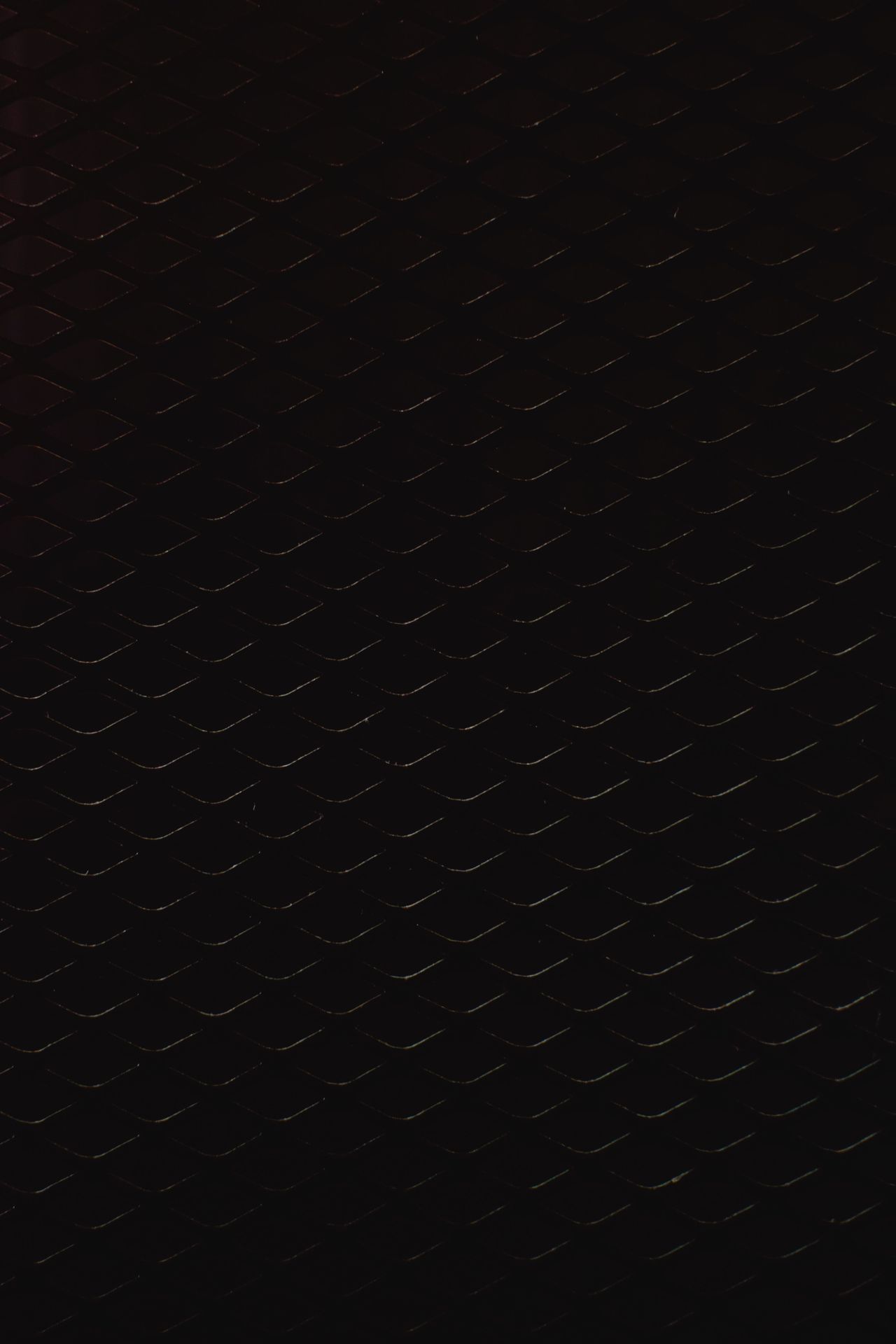 banner image