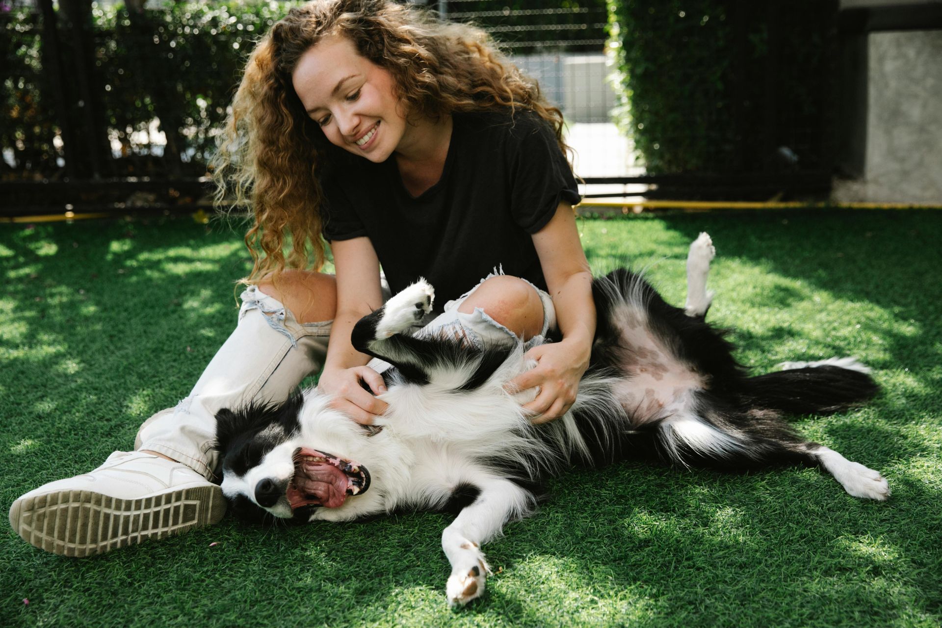 woman sitting on a lawn petting a happy collie dog.
