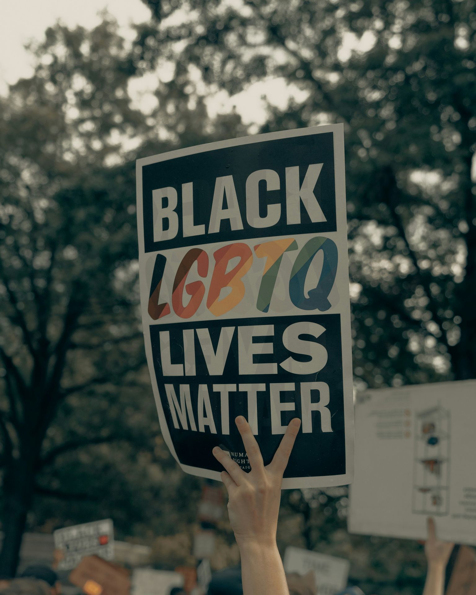 sign reading "Black LGBTQ Lives Matter"