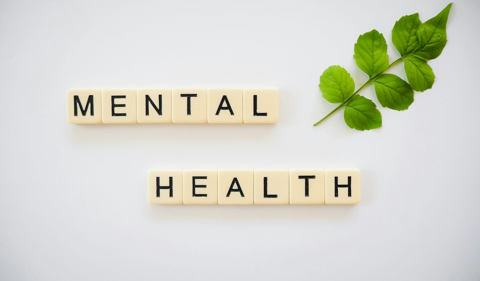 scrabble tiles spelling "mental health" and a single green leaf on a table. Chronic Illness (Disability) and Spoon Theory | Chronic Disease & Mental Health