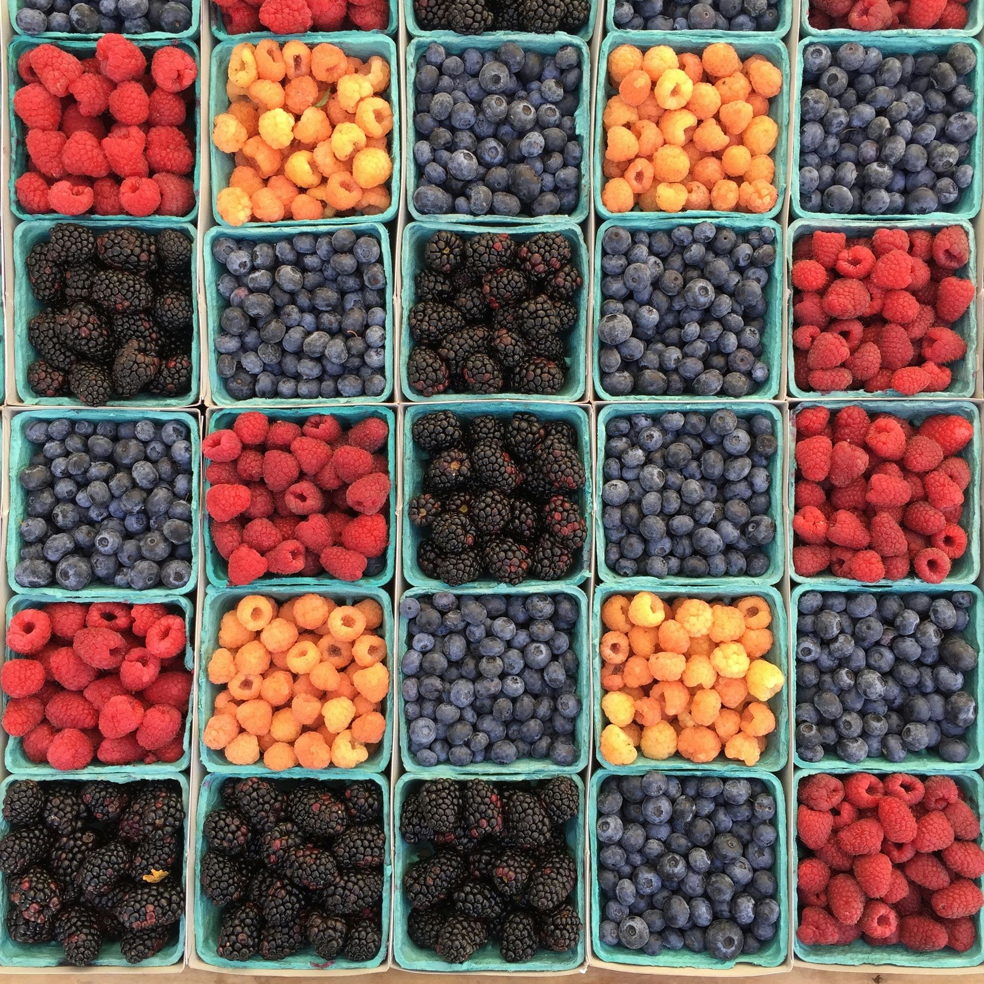 assorted berries in containers: blueberries, blackberries, golden raspberries, raspberrie. 45 regulation activities to boost well-being