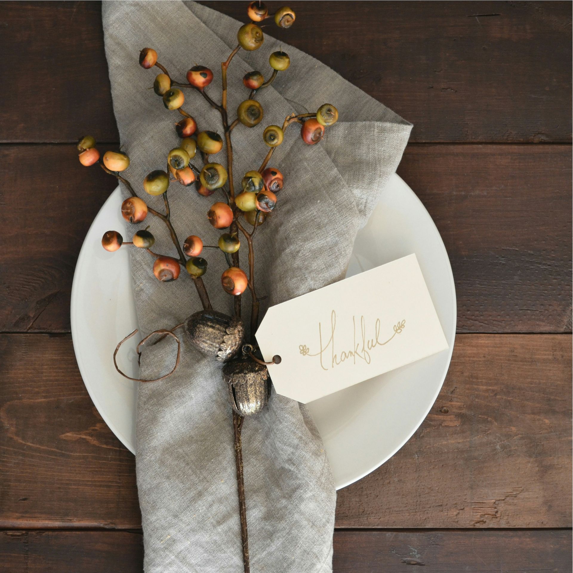 napkin with tag thankful on plate tips to manage holiday stress from therapist