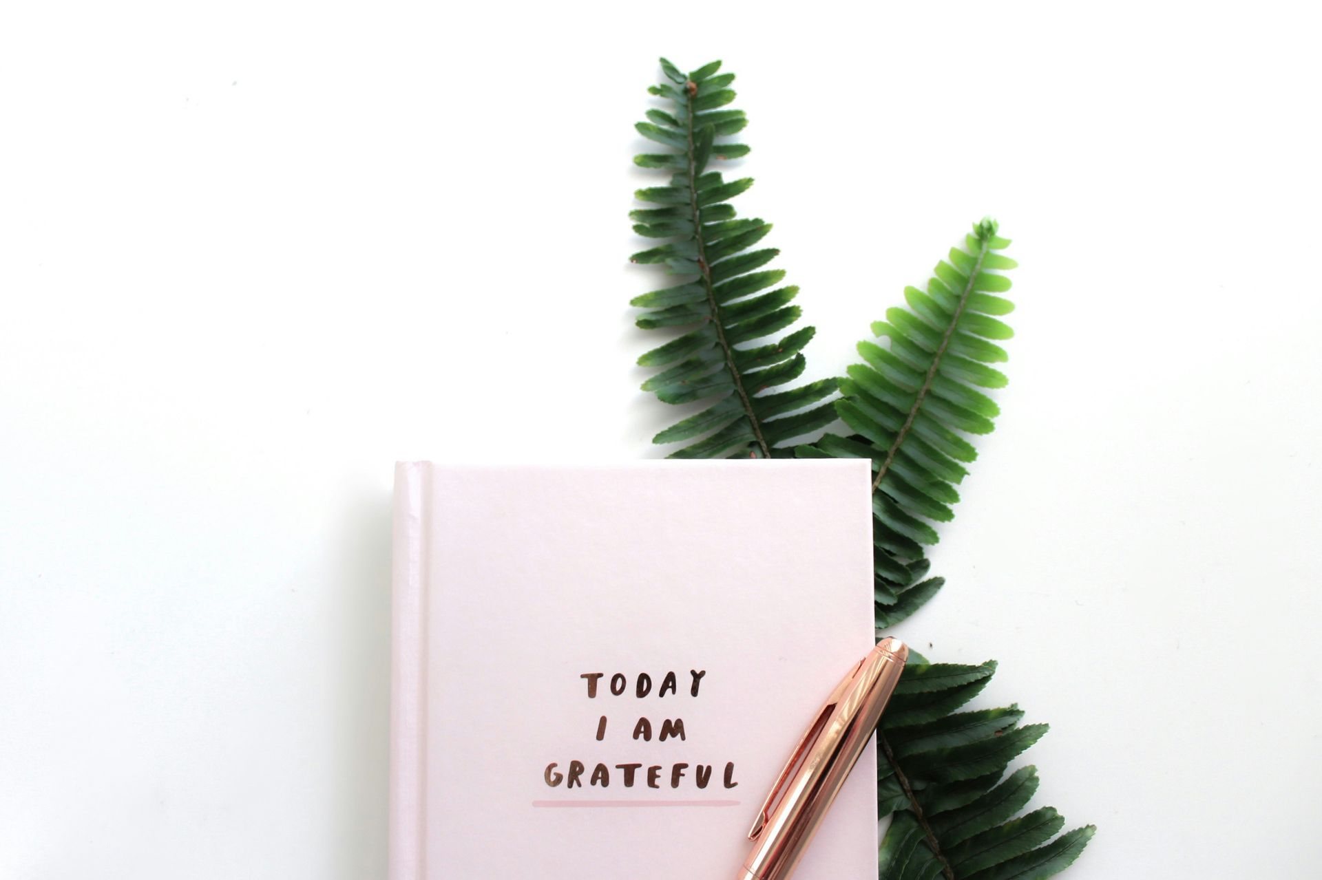 two fern leaves behind a notebook reading, "Today I am grateful."  45 regulation activities to improve well-being