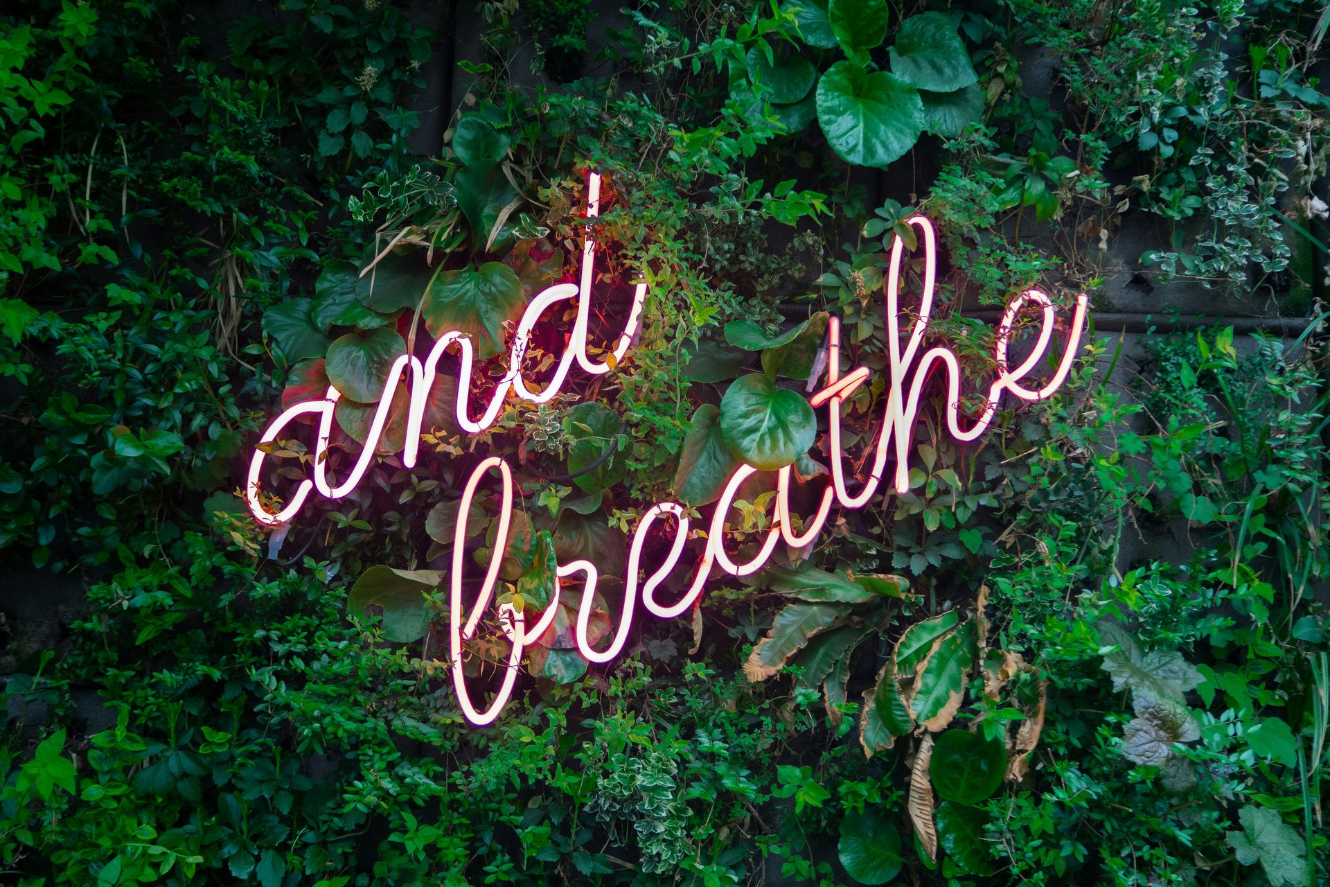 green wall with pink neon lights reading "and breath." 45 regulation activities that boost well-being