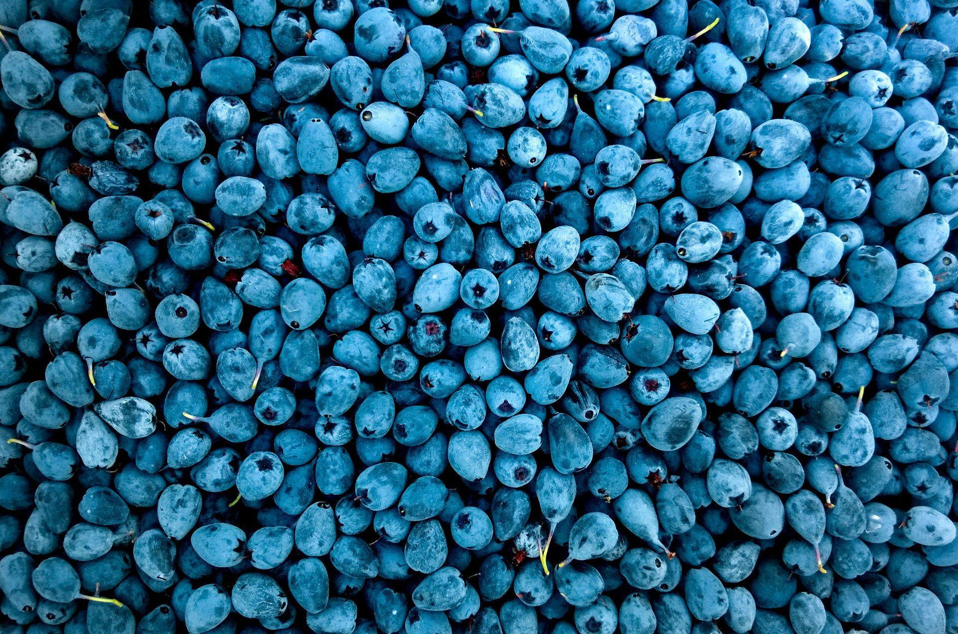 blueberries. Habits that improve mental health