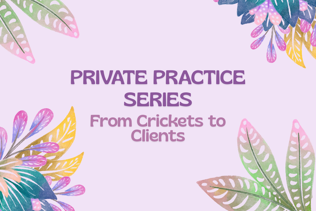 PRIVATE PRACTICE FOUNDATIONS CE SERIES 