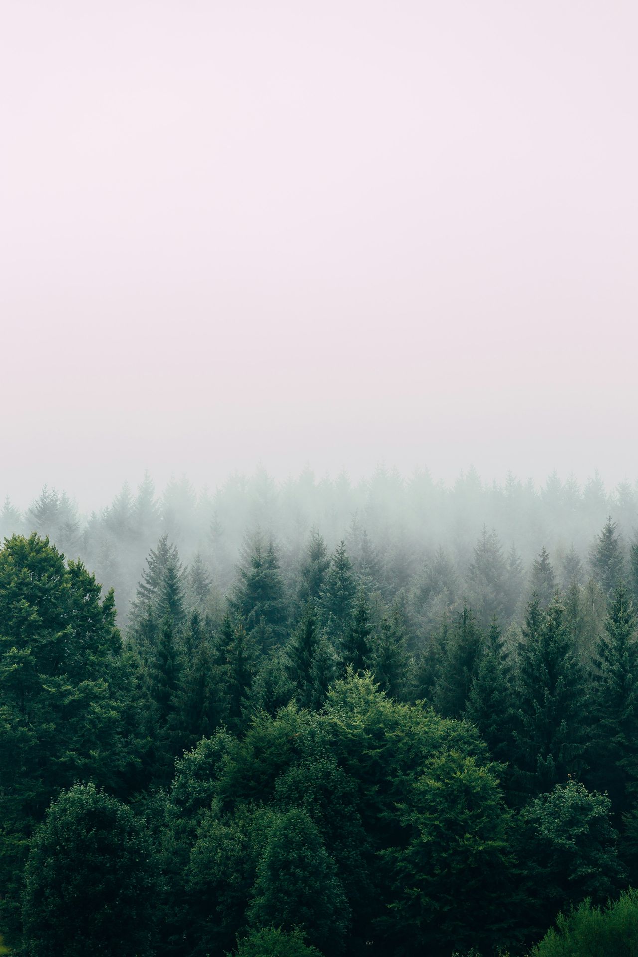 Who Might Benefit From an EMDR Intensive?