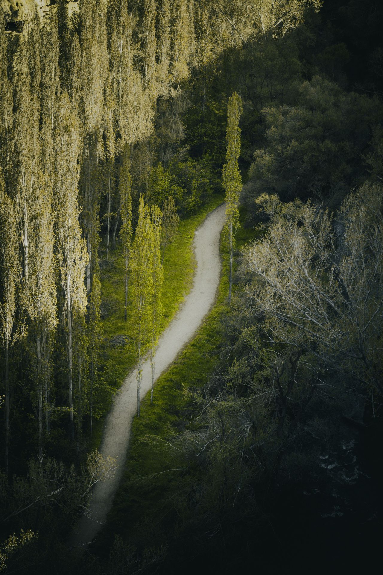 Grieving the Relationship You Thought You Had