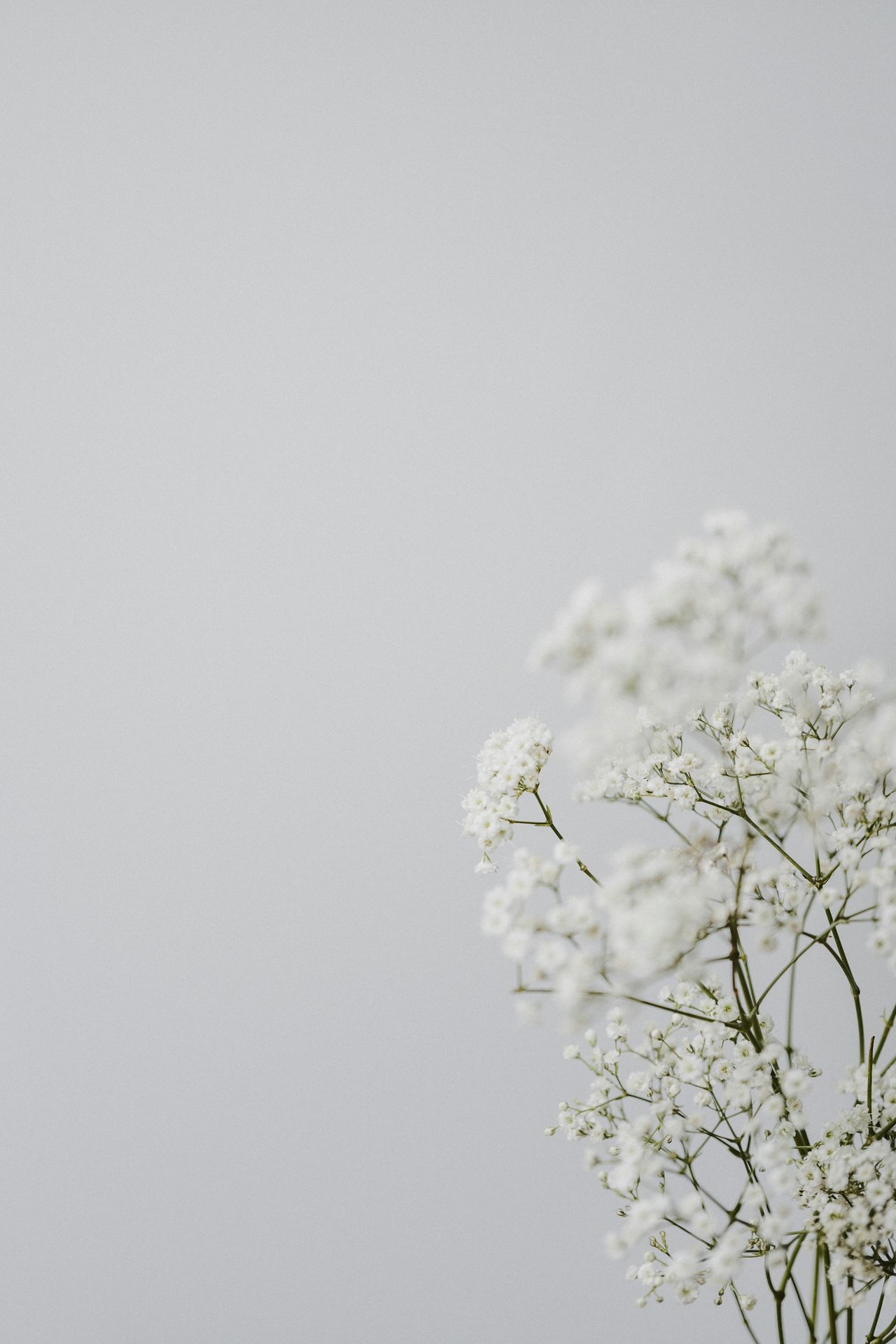 Grief & Loss