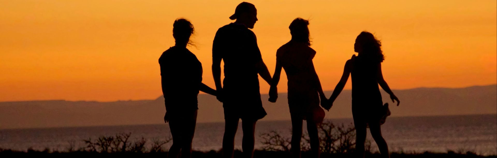 banner image