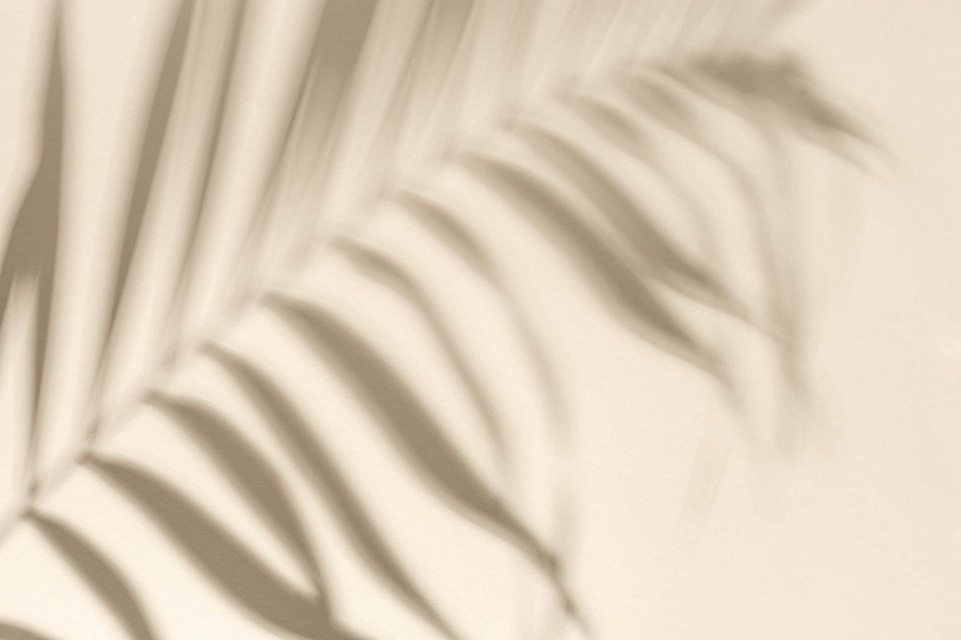 banner image