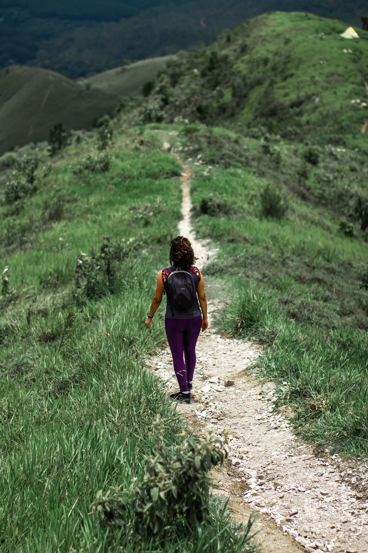 Midlife Women's Transitions
