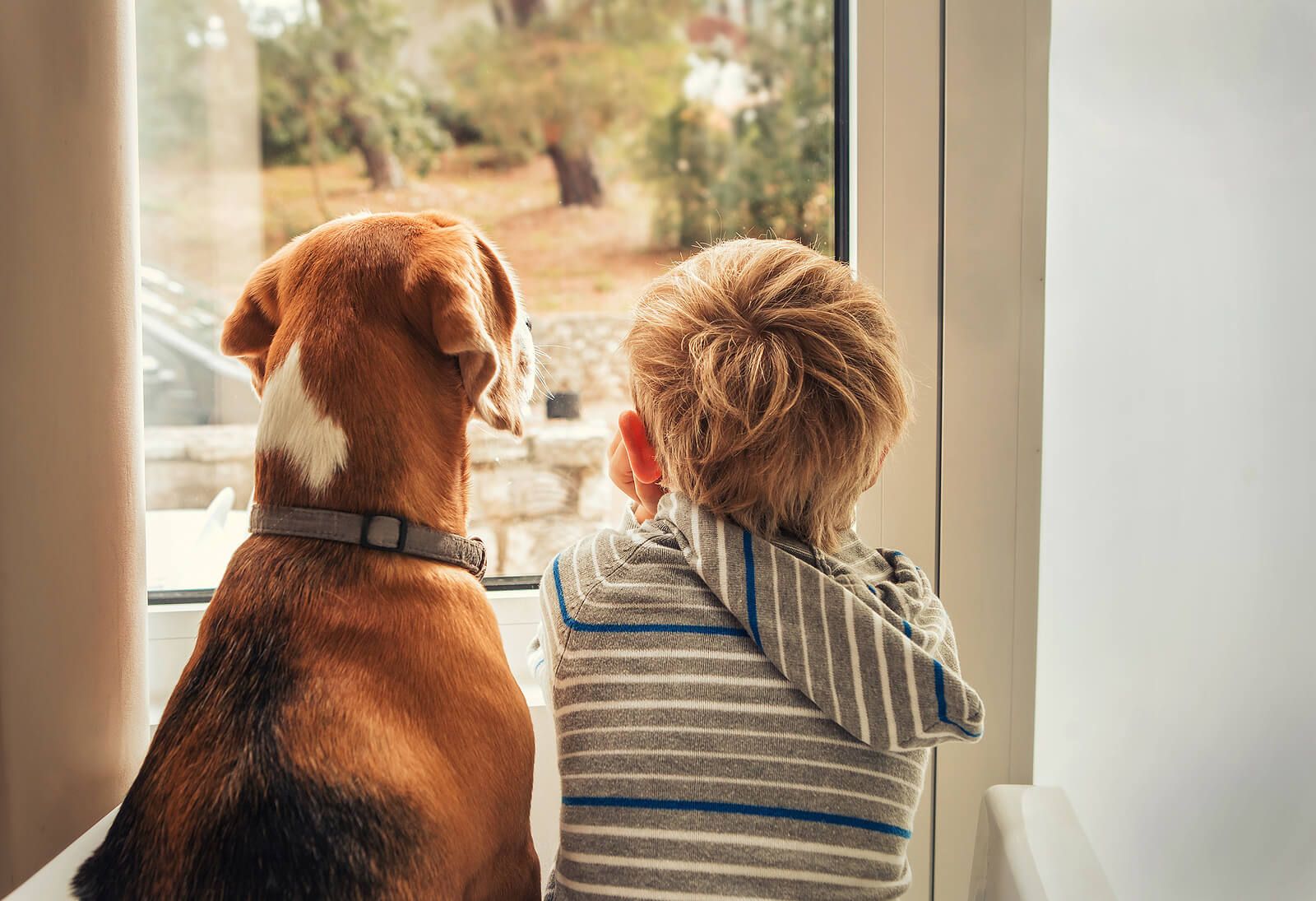 A young boy sitting with a dog looking out a glass door | grief counselor san francisco | grief counseling san francisco, ca | grief therapy in san francisco, ca |  94608 | 94609 | 94061