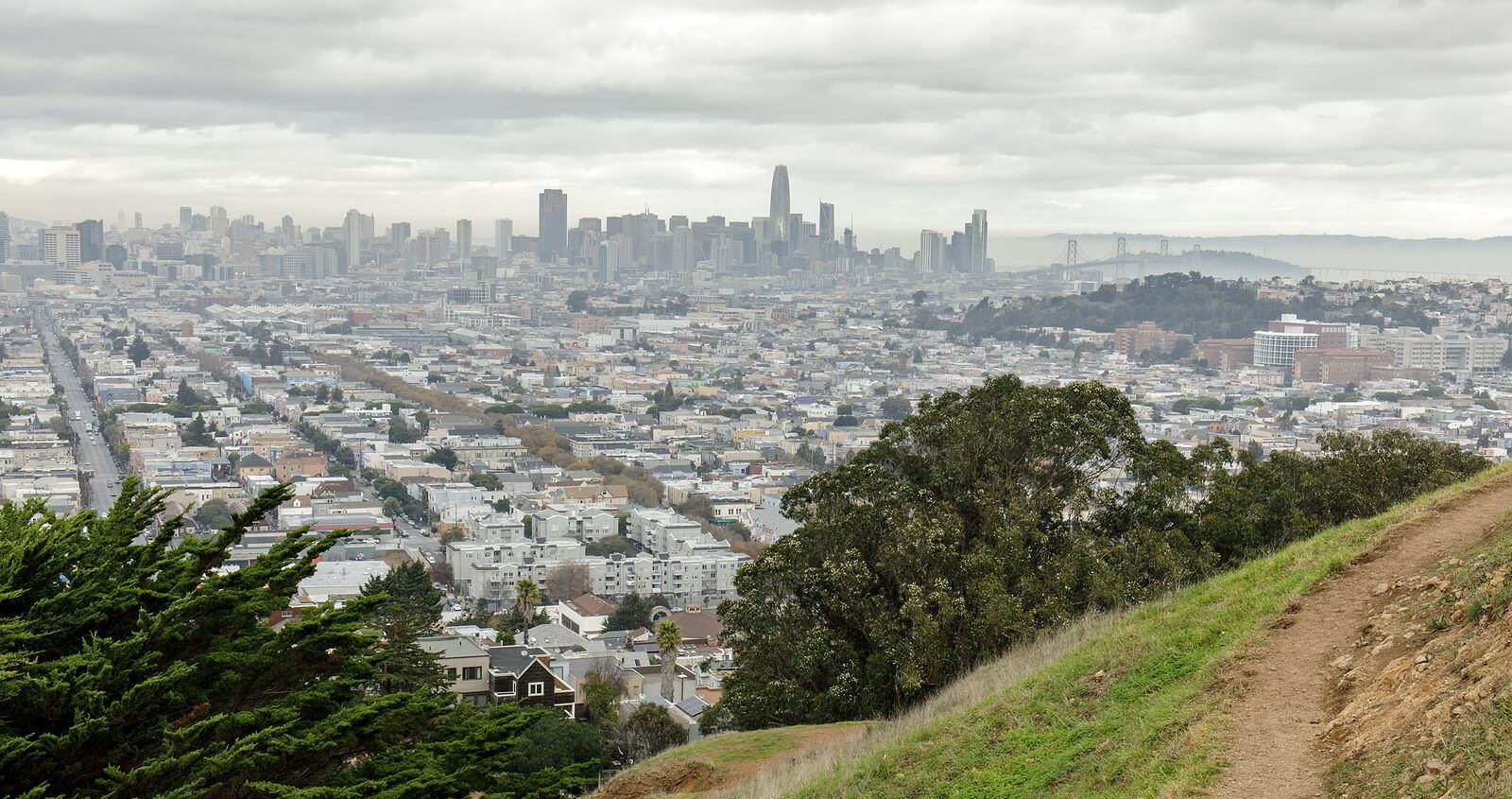 A hiking path in San Francisco, CA | bereavement counseling in san francisco, ca | grief therapy san Francisco | grief counseling san francisco, ca | 94609 | 94061 | 94941