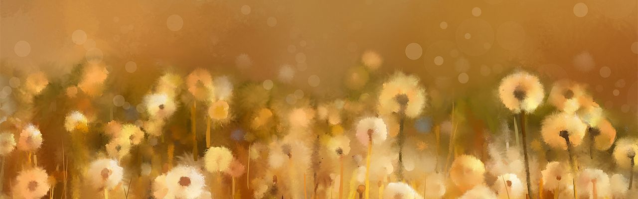 banner image