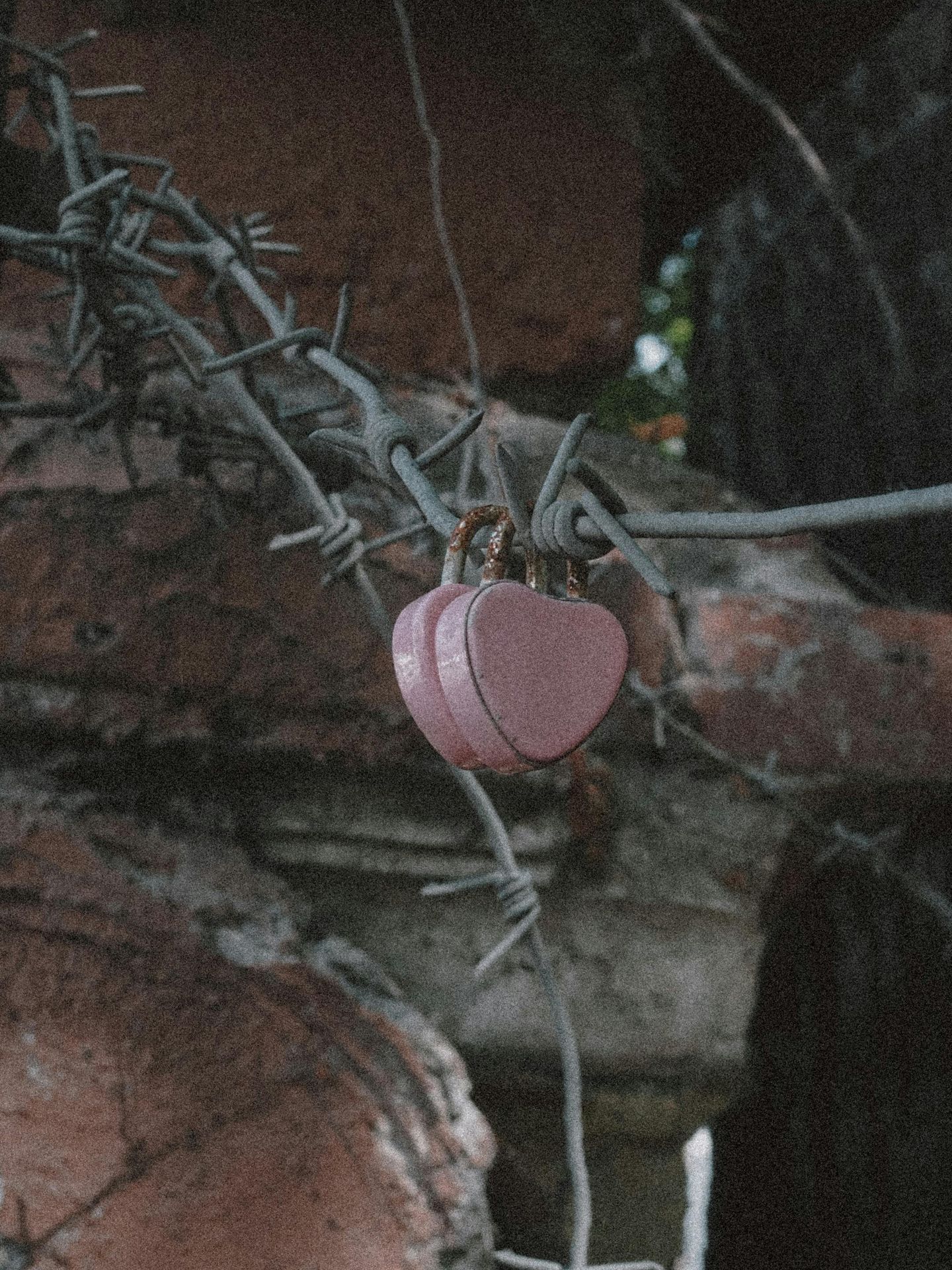 a lite pink heart shaped locket hanging from barbed wire