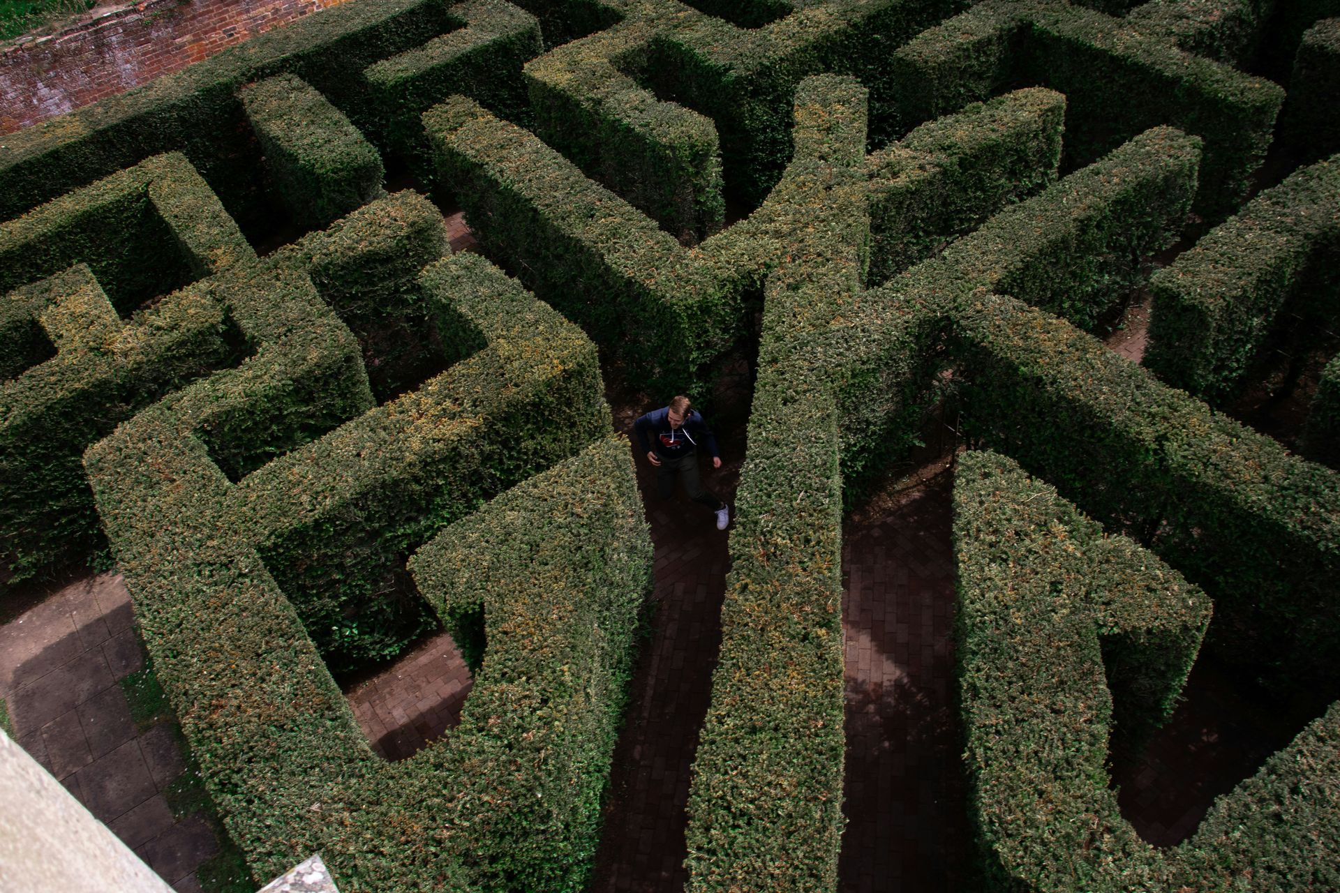 a green hedge maze simulating getting caught in a maze with your partner