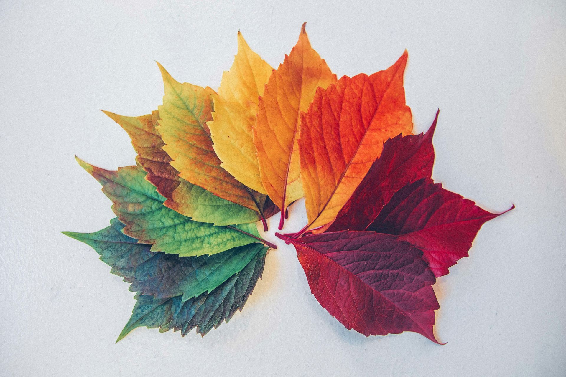 Every Relationship Has Seasons (Yes, Even the Happy Ones)