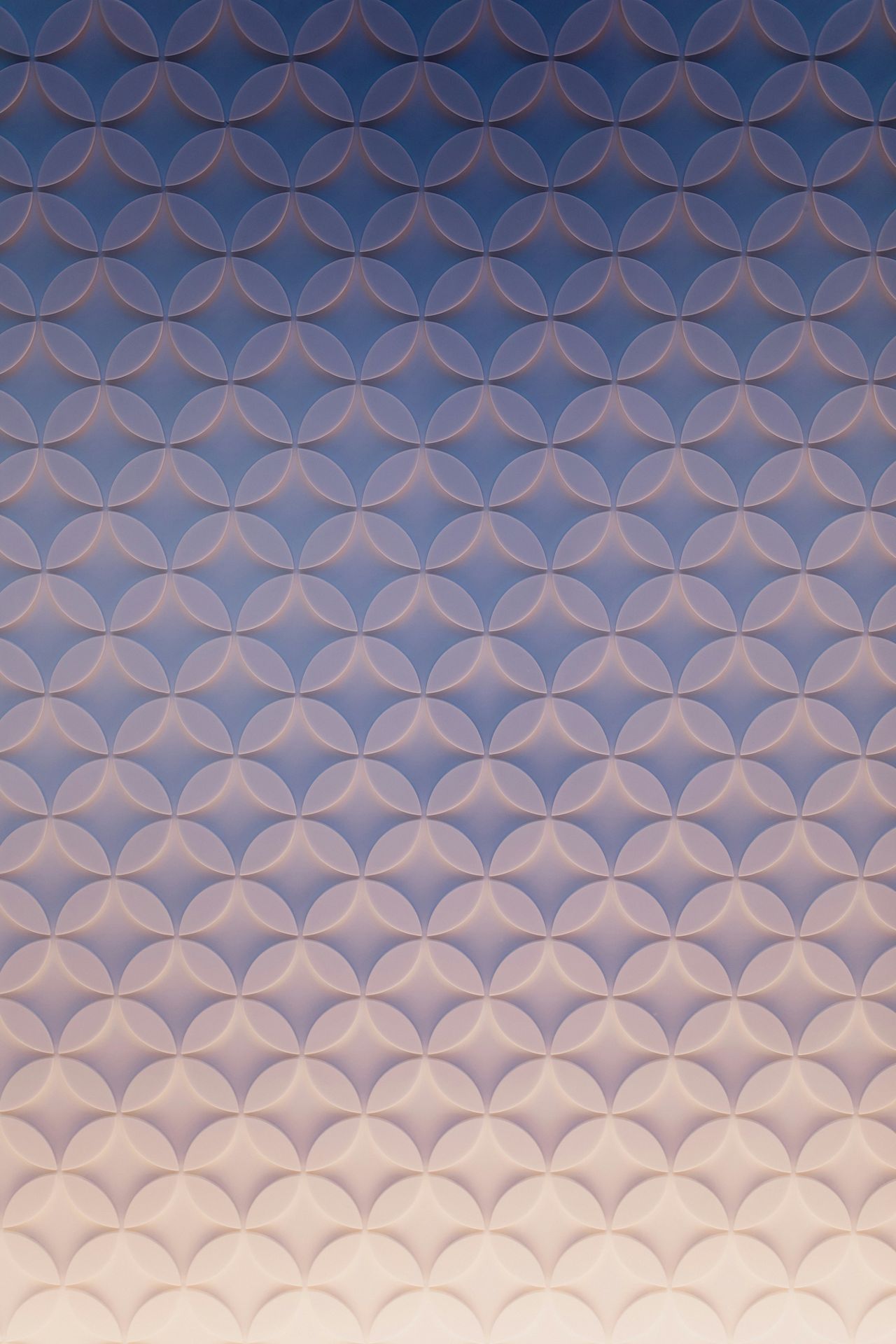 banner image