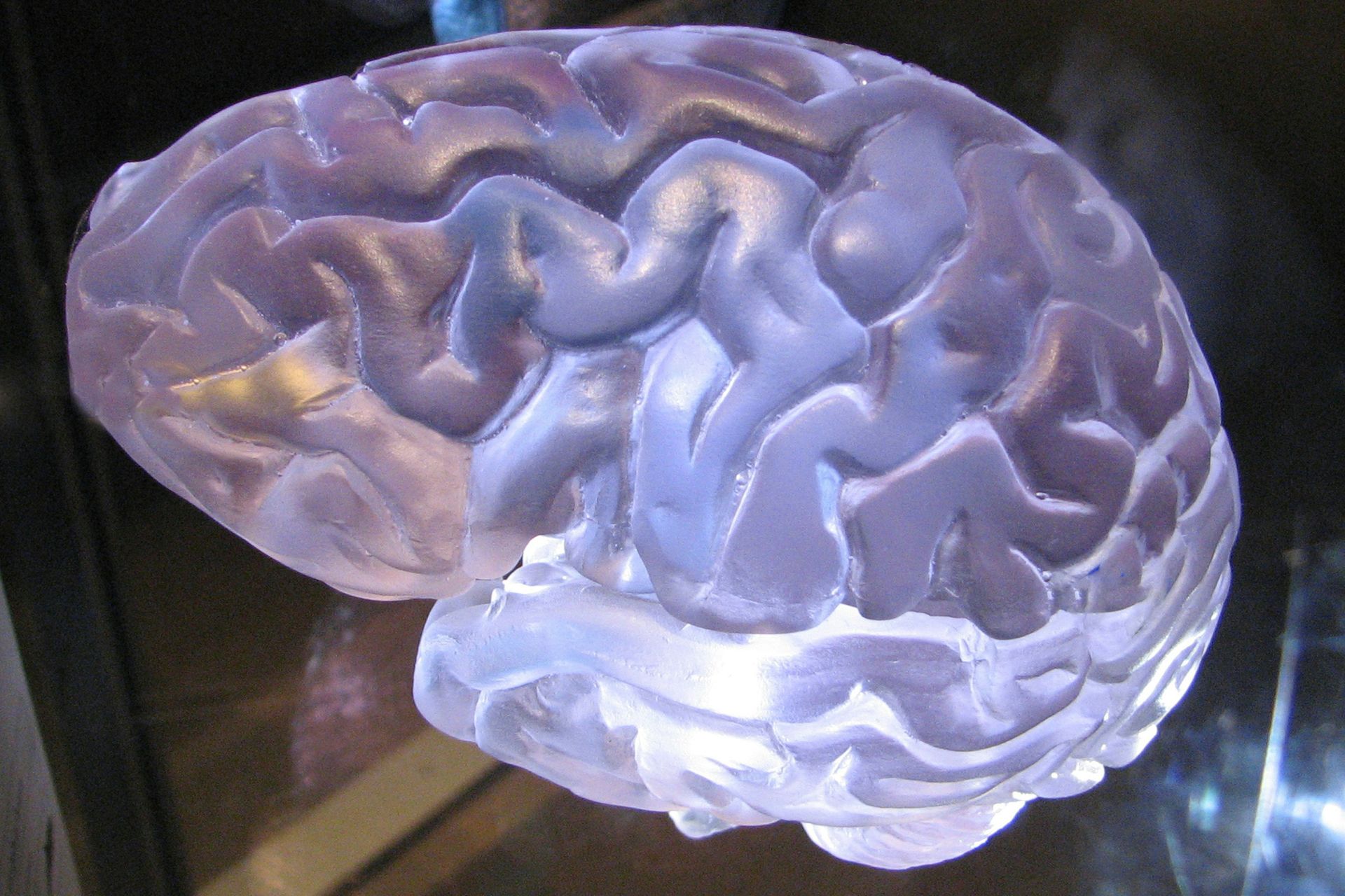QEEG Brain Mapping for Anxiety, Depression, & Trauma