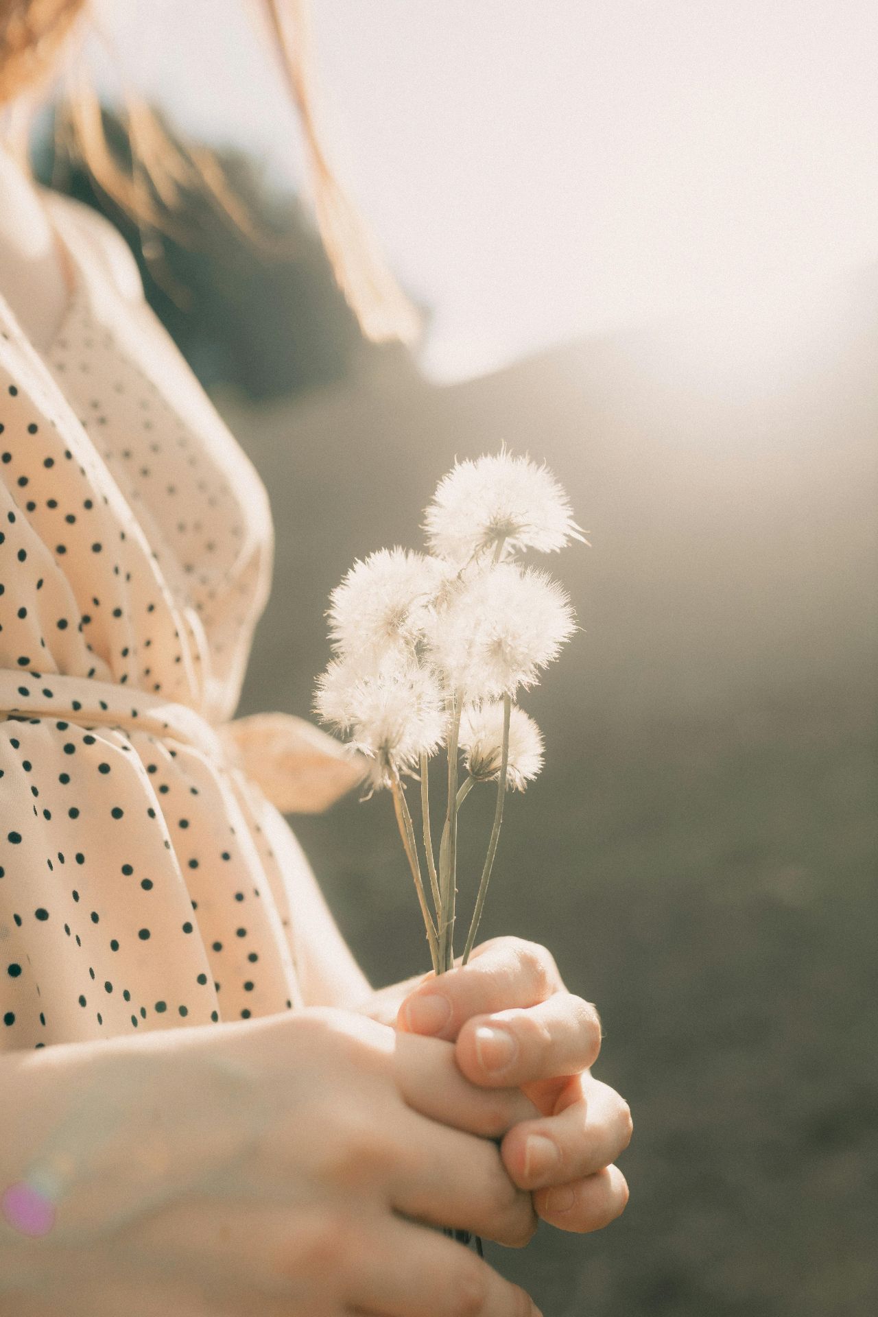 A New Chapter in Your Journey- Surrogacy or a Gestational Carrier