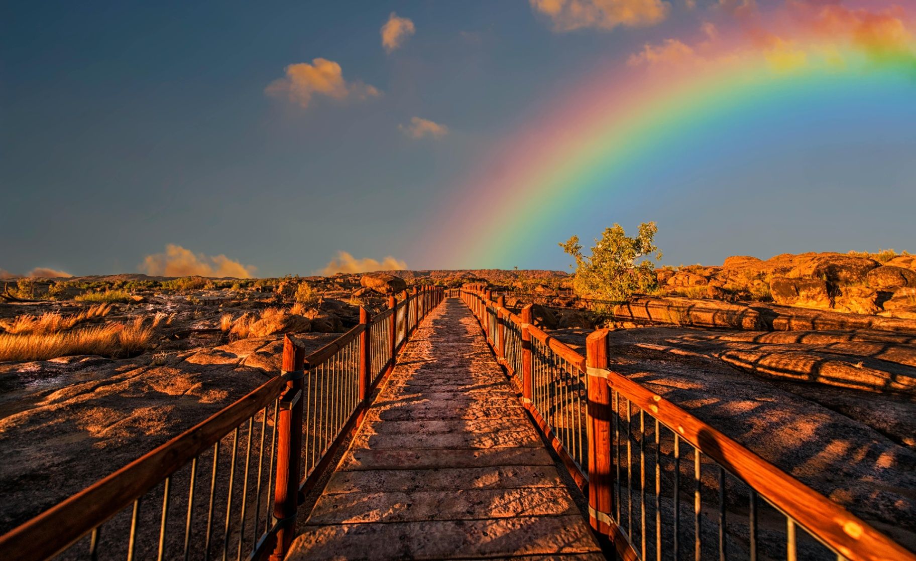 Loss, Grief and All Those Feelings In Between- 3 Tips to Help You Move Forward