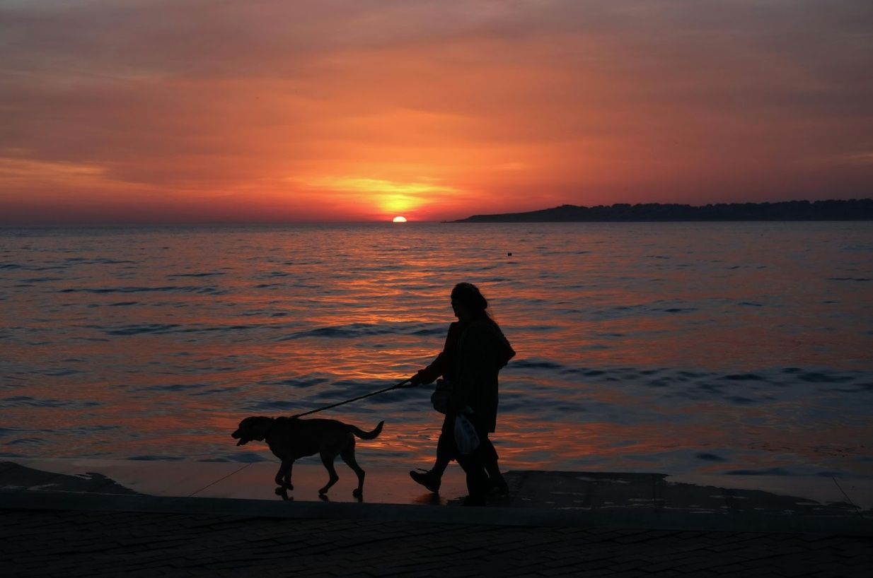 August Reflections: Have You Done What You Needed This Summer—For Your Soul and Your Fertility Journey?