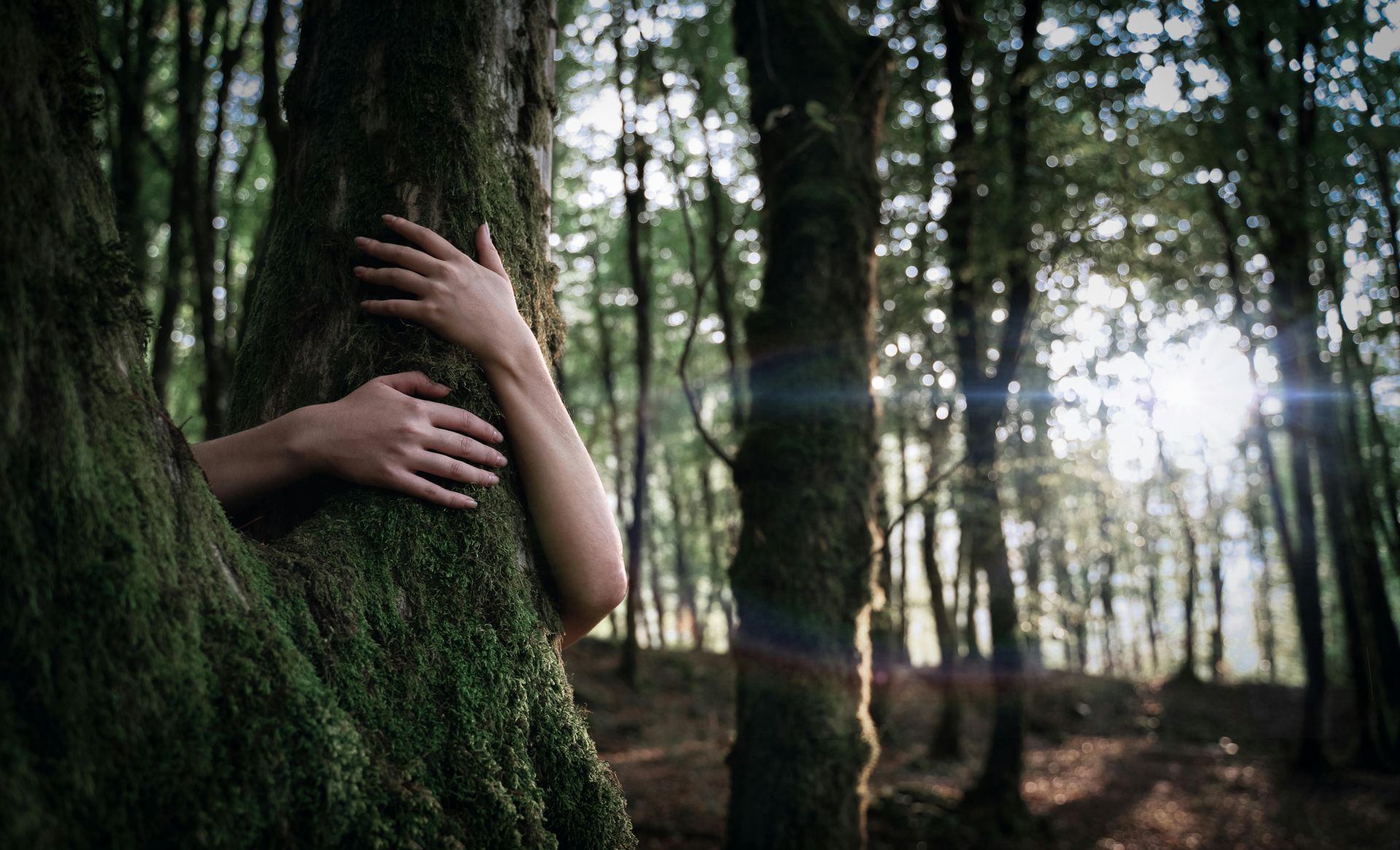 Compassionate Inquiry 