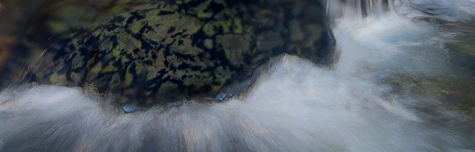 Counseling for Trauma