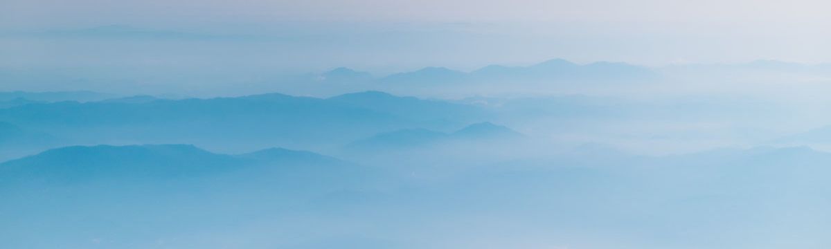 banner image