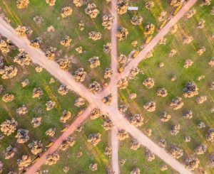 A field with different path's. Represents the idea of therapy for self-esteem in Katy, TX 77459