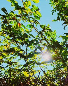 Grounding Counseling in Katy, TX 77494